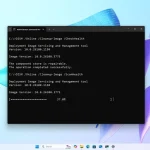 چگونه با استفاده از DISM ایمیج محلی را در ویندوز ۱۱ تعمیر کنیم؟